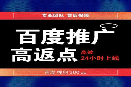 某品牌通过SEM关键词实现品牌推广的实战案例